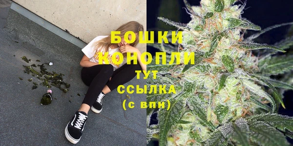 стаф Богданович